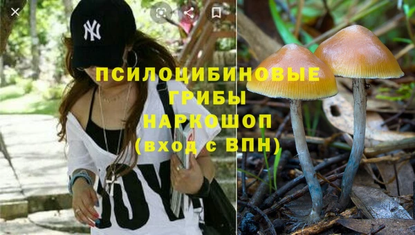 ГАЛЛЮЦИНОГЕННЫЕ ГРИБЫ Балахна