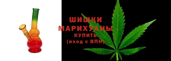 ПСИЛОЦИБИНОВЫЕ ГРИБЫ Коряжма